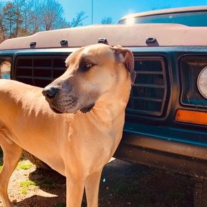 Meet your Posher, Laura